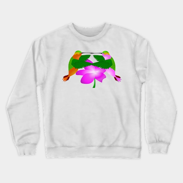 Hummingbird Crewneck Sweatshirt by Ruggeri Collection